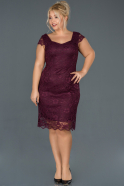 Violet Dantelli Büyük Beden Elbise ABK010