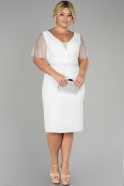 Beyaz Kolları Transparan Büyük Beden Elbise ABK923