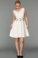 Kısa Beyaz V Yaka Elbise DS330