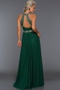 Yeşil Sırt Dekolteli Abiye Elbise W6057