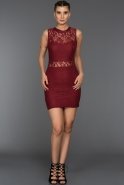 Bordo Mini Dantelli Elbise ABK254