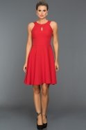 Kırmızı Dekoltesiz Elbise DS376