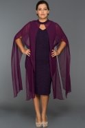 Violet Tül Detaylı Büyük Beden Elbise ABK013