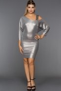Gümüş Özel Üretim Kısa Elbise F7299