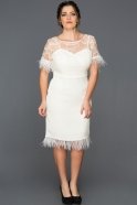 Beyaz Otriş Detaylı Büyük Beden Elbise ABK050