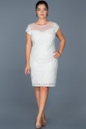 Beyaz Payetli Büyük Beden Davet Elbisesi ABK011