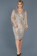 Bej-Gümüş V Yaka Payetli Büyük Beden Elbise ABK305