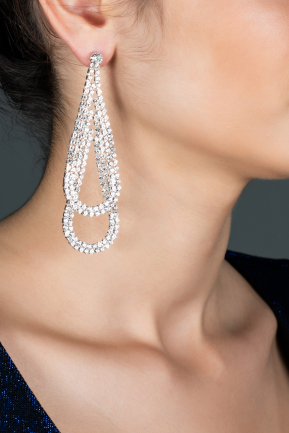 Swarovski Küpe DY364