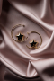 Gold Küpe BJ1220