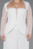 Ekru Dantel Kollu Peplum Kesim Uzun Büyük Beden Abiye ABU5881